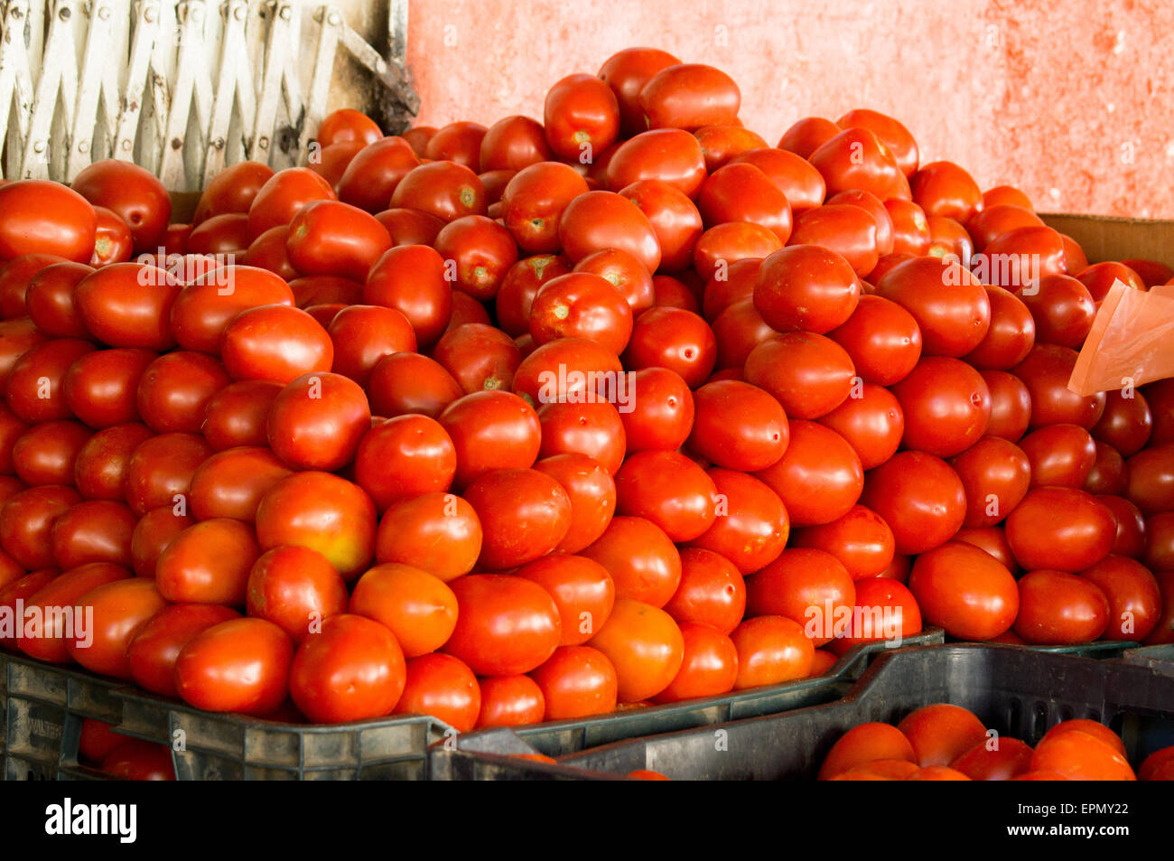 Stack of Red tomatoes  'Tomate guaje' Stock Photo