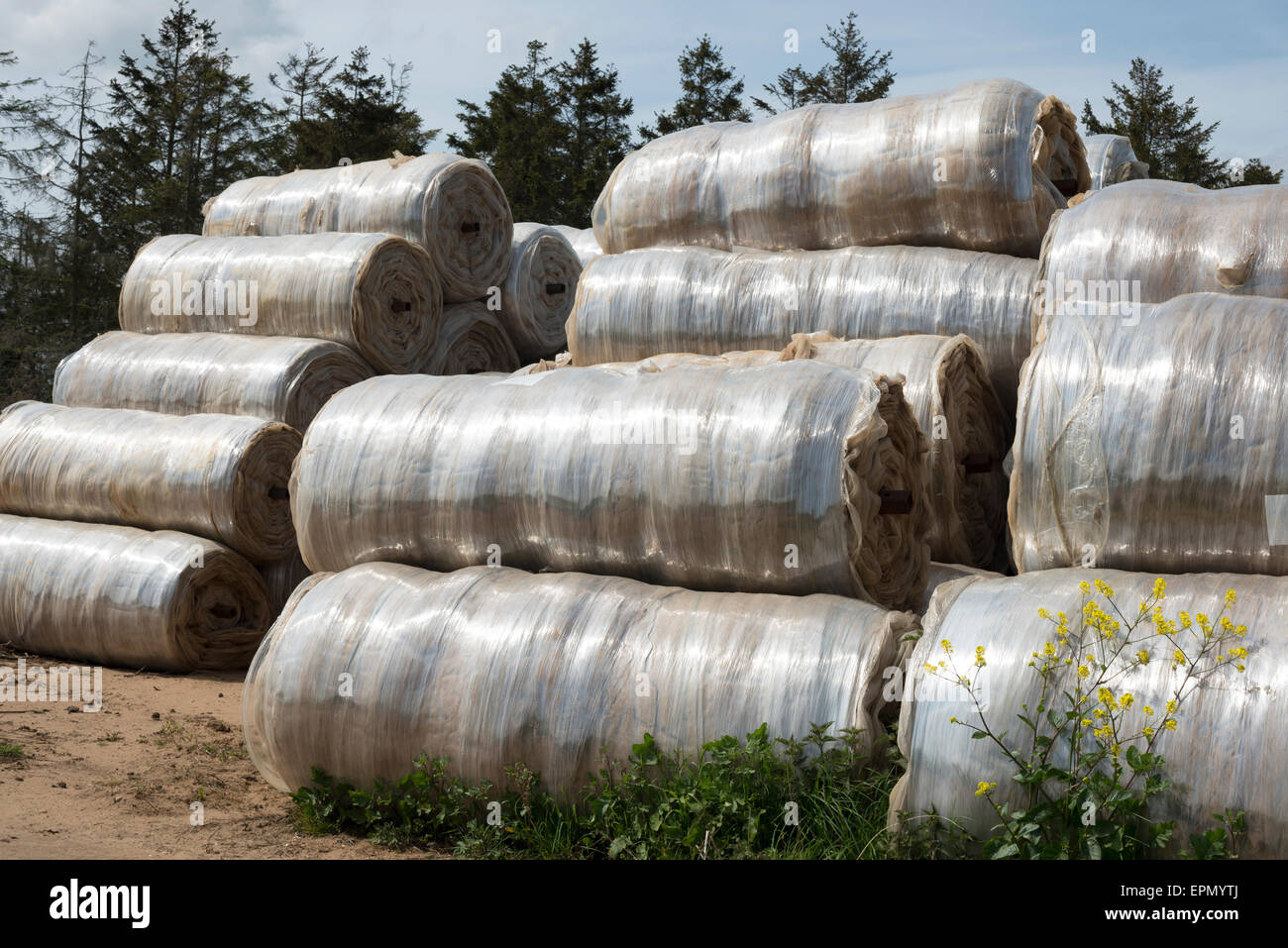 Used rolls of Agricultural plastic, used to cover crops such as potatoes and carrots during the early stages of growth Stock Photo