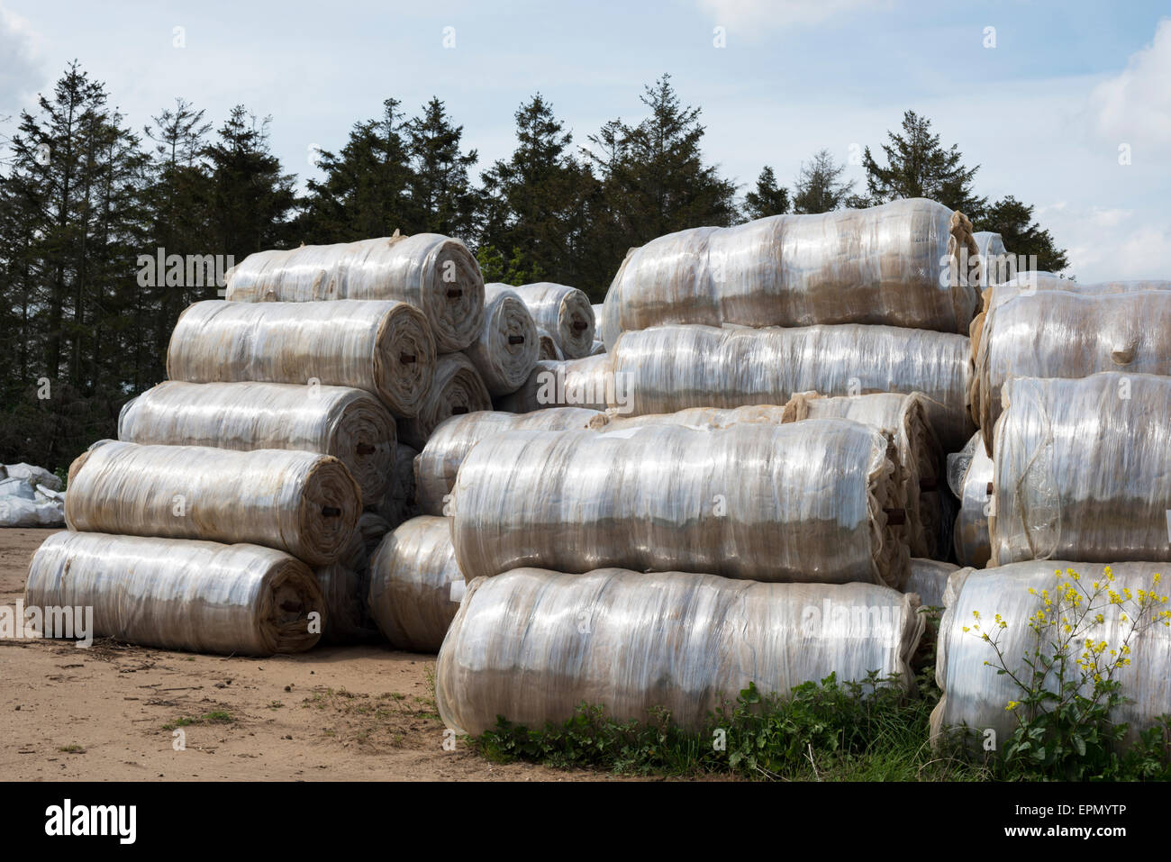 Used rolls of Agricultural plastic, used to cover crops such as potatoes and carrots during the early stages of growth Stock Photo