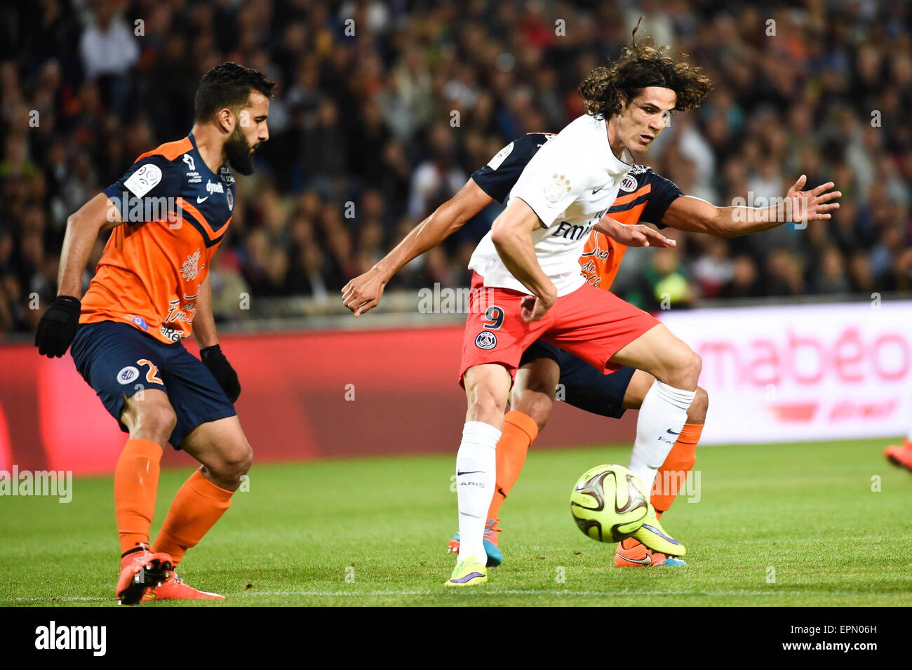 Edinson Cavani - 16.08.2014 - Paris Saint Germain / Bastia - 2eme journee  de Ligue 1.Photo : Aurelien Meunier / Icon Sport (Cal Sport Media via AP  Images Stock Photo - Alamy