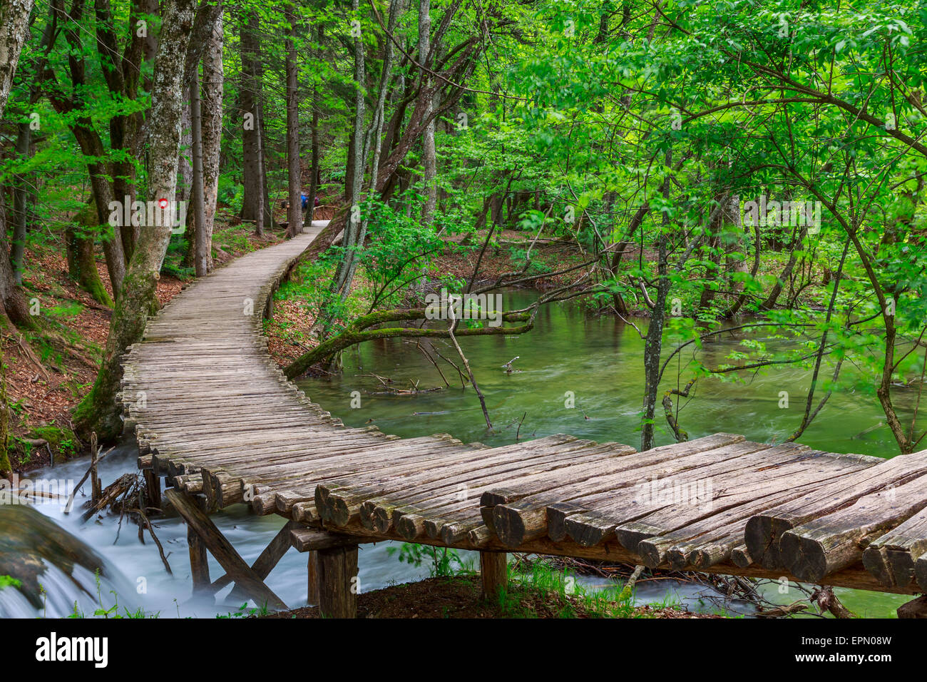 Spring forest creek in Plitvice National park -Croatia Stock Photo