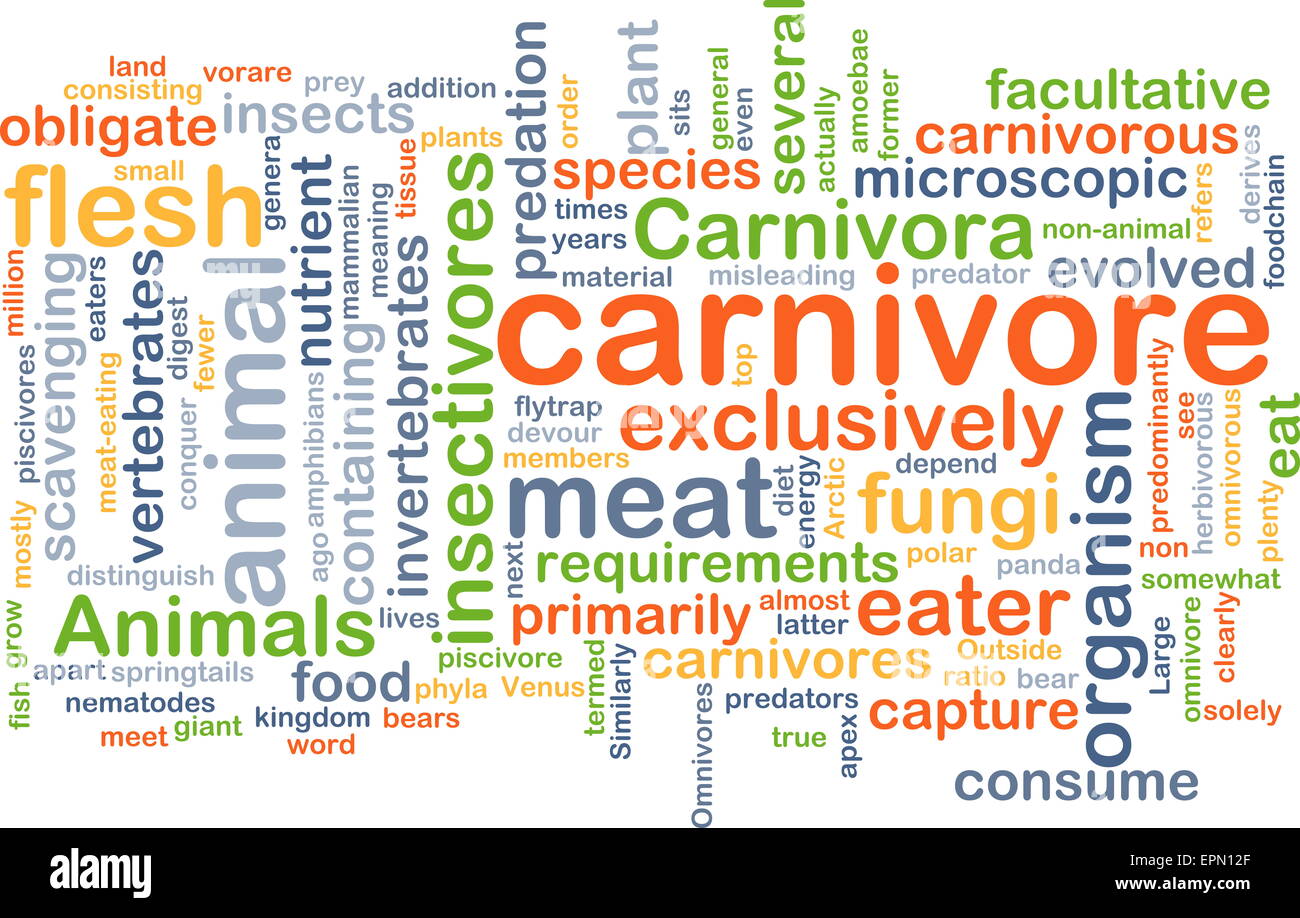 Background concept wordcloud illustration of carnivore Stock Photo