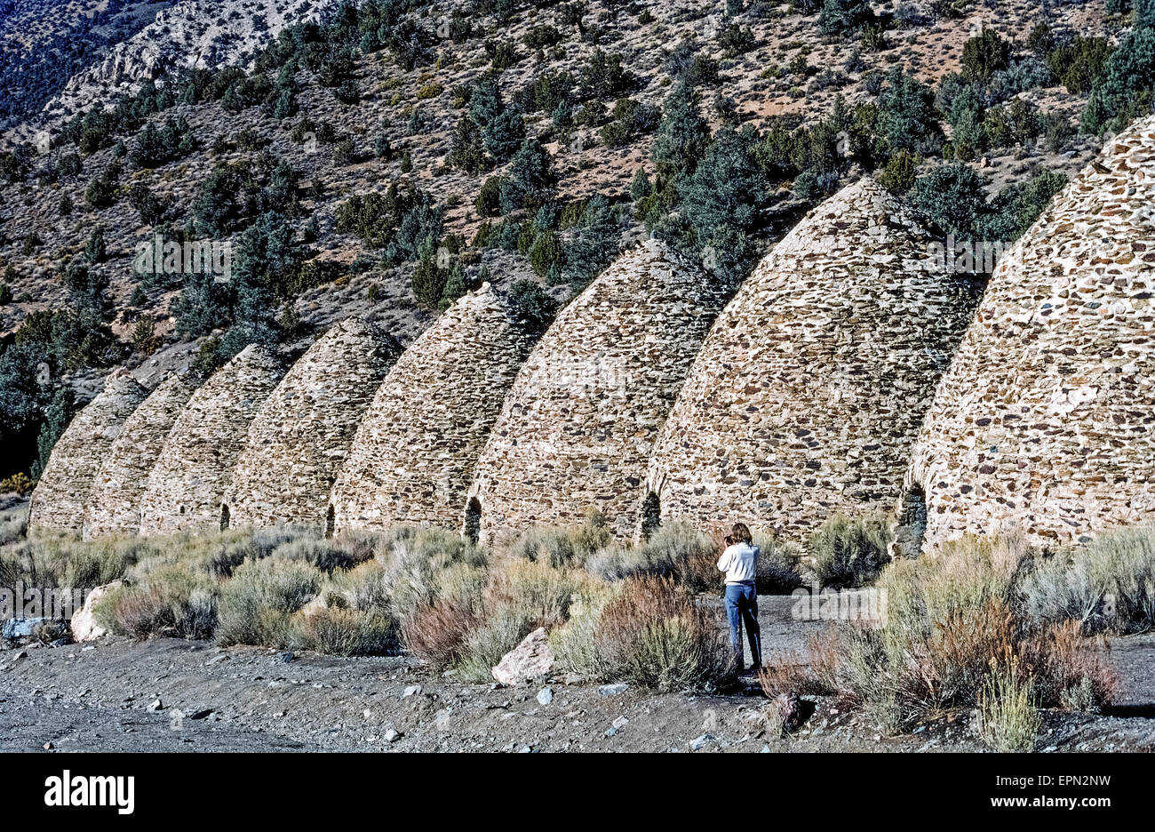 A tourist photographs some of the historic beehive-shaped charcoal kilns built in 1877 to make charcoal for ore smelters used in silver and lead mining operations nearby Death Valley, California, USA. The rock and mortar structures were constructed in Wildrose Canyon in the Panamint Mountains near sources of wood that included pine and juniper trees, which were slowly burned for a week to create the charcoal. The 10 kilns were abandoned when the mines shut down but were restored a century later and have become an attraction in Death Valley National Park. Stock Photo