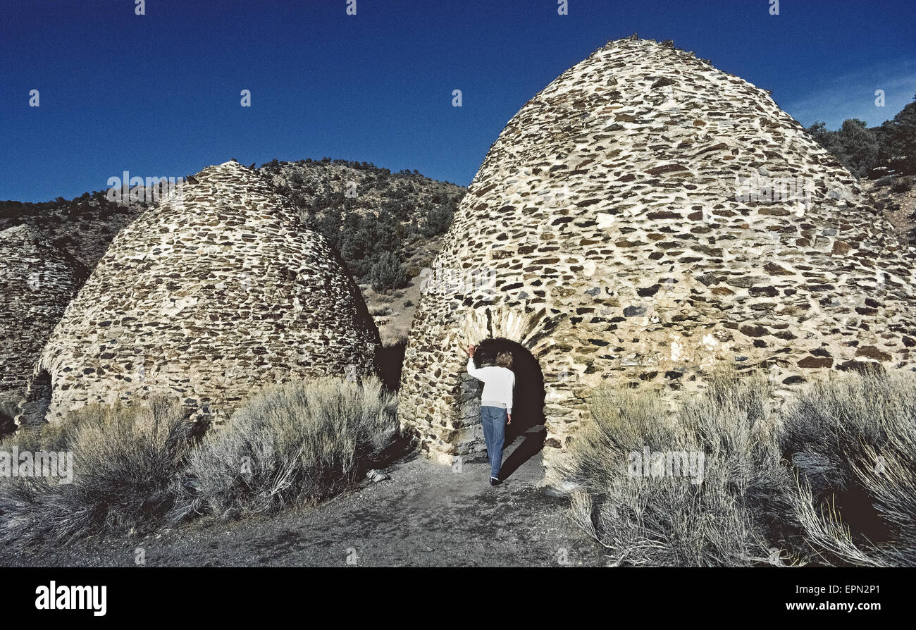 Beehives pine trees High Resolution Stock Photography and Images Alamy