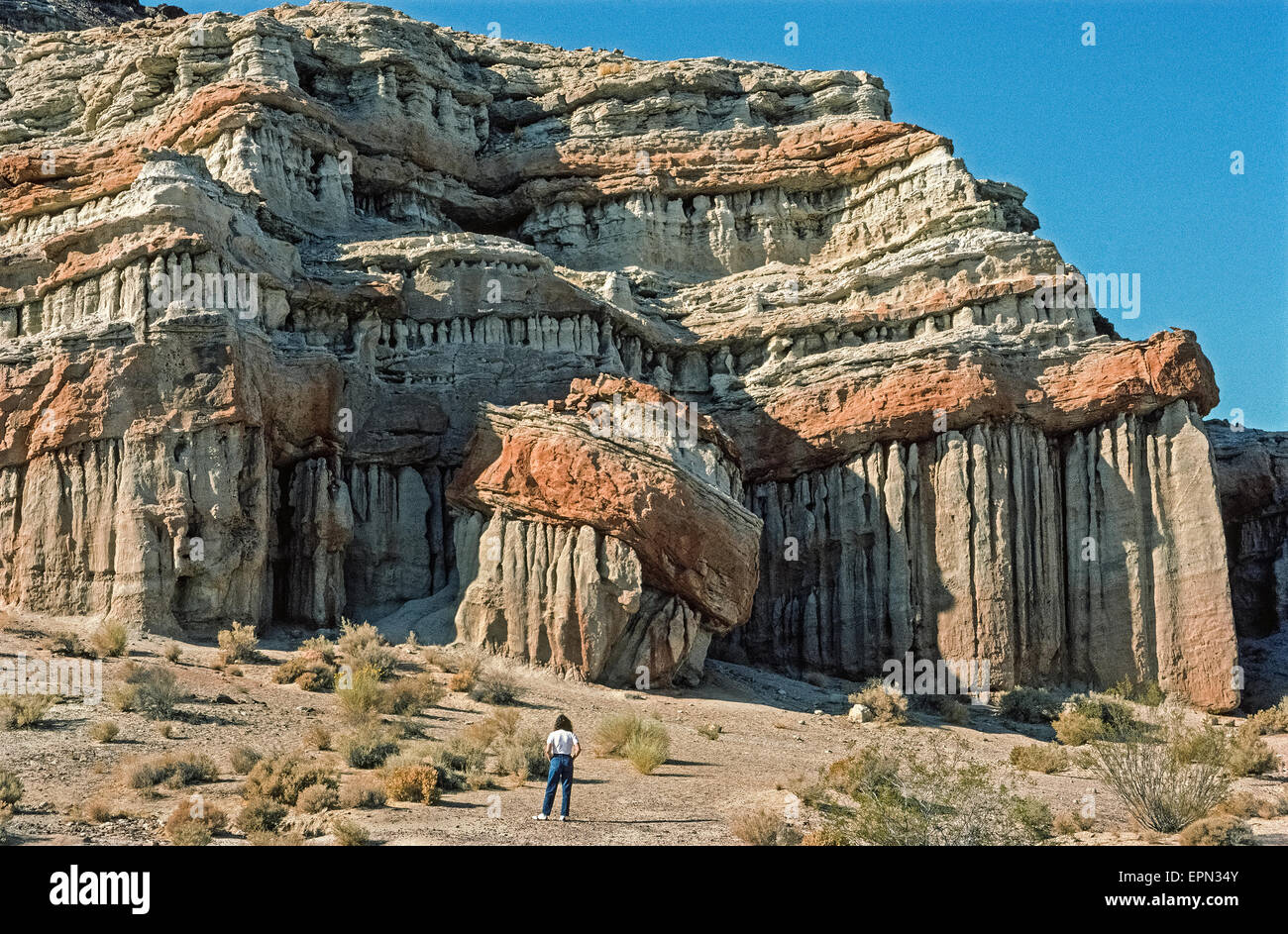Spectacular cliffs and buttes with rock formations of dramatic shapes and vivid colors dwarfs a visitor at Red Rock Canyon State Park in the Mojave Desert at the southernmost edge of the Sierra Nevada mountain range in Kern County, California, USA. The unusual geologic shapes of this natural attraction were created by wind and rain eroding softer rock layers beneath harder layers of the colored caprocks. Red Rock Canyon has been the filming location of many movies, videos and commercials. Guided nature hikes and campfire programs are offered during the spring and fall months. Stock Photo