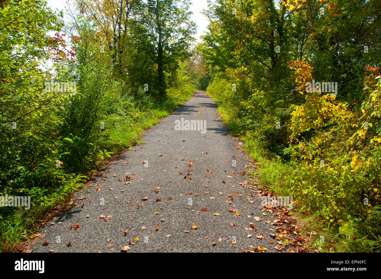 Towpath trail, Windsor Locks Canal State Park Trail, Connecticut Stock