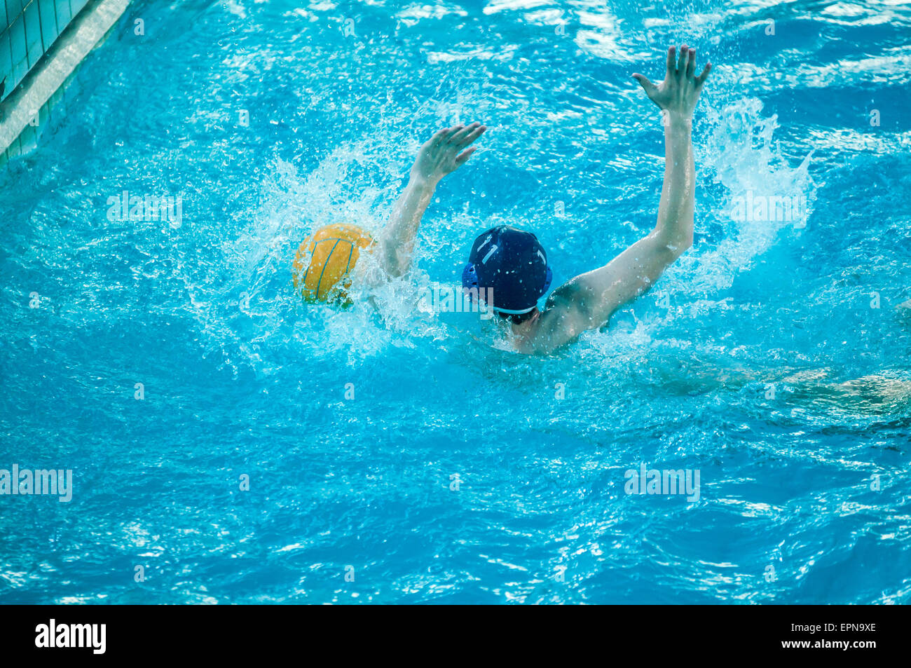 Water polo is a team water sport Stock Photo Alamy
