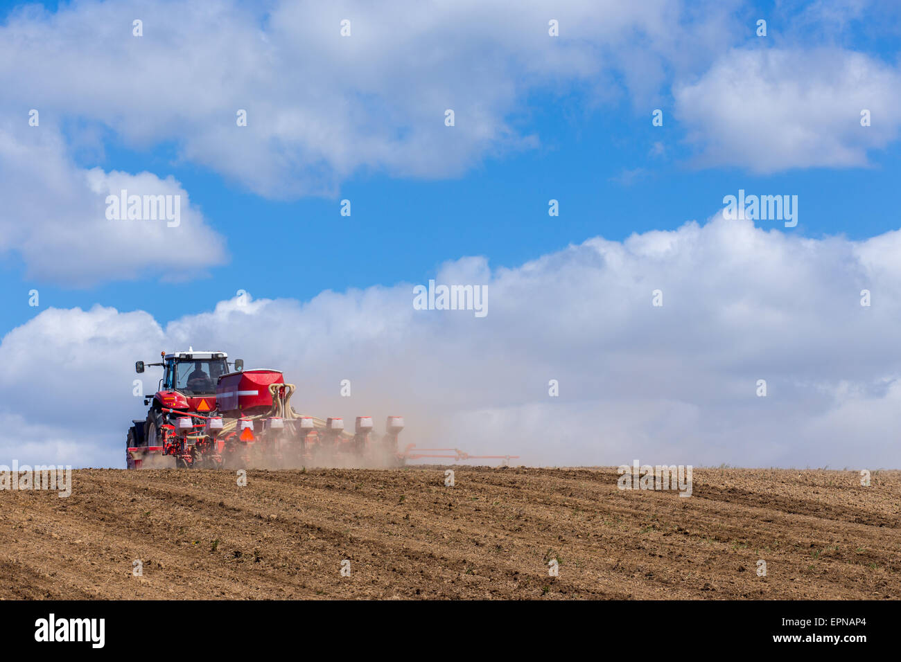 The tractor harrowing the large brown field in spring season Stock ...