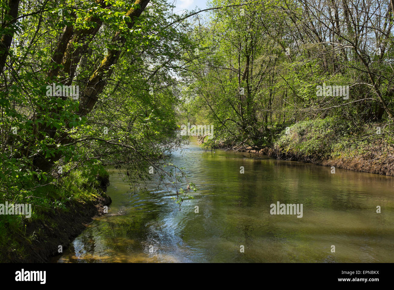 Lafnitz river, Wörterberg, southern Burgenland, Burgenland, Austria Stock Photo