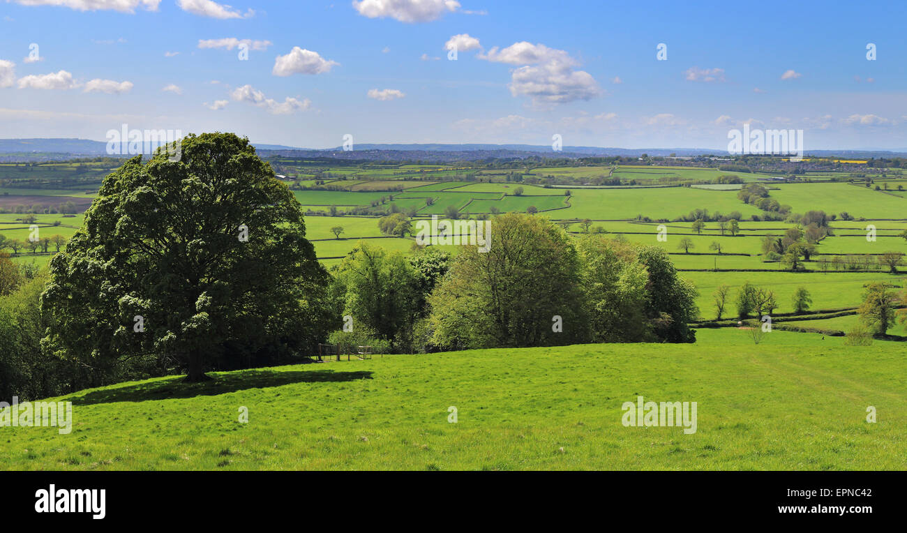 A Landscape in Rural Somerset with blue sky and puffy clouds Stock Photo Alamy