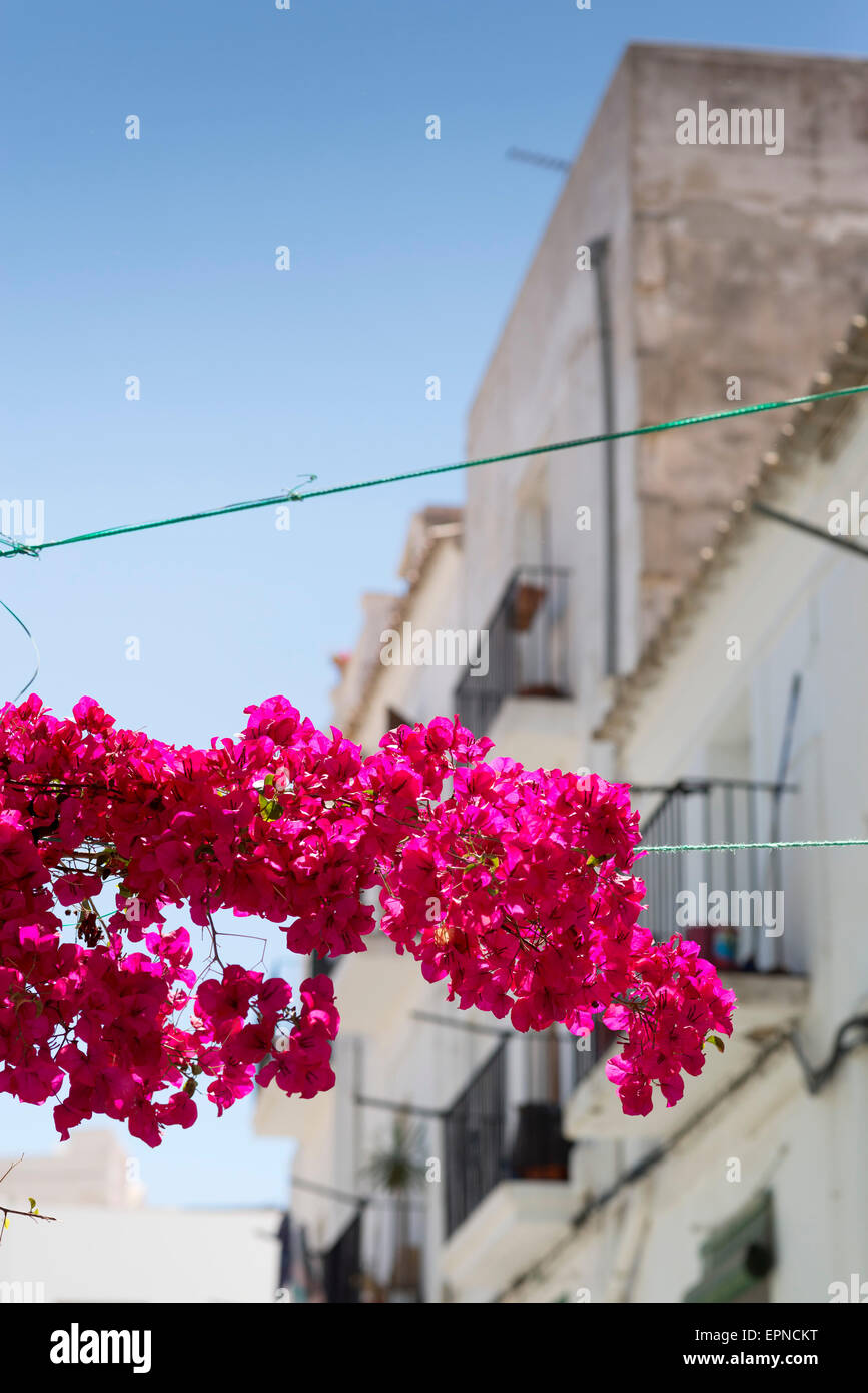 Urban scenic of Ibiza town, Spain Stock Photo