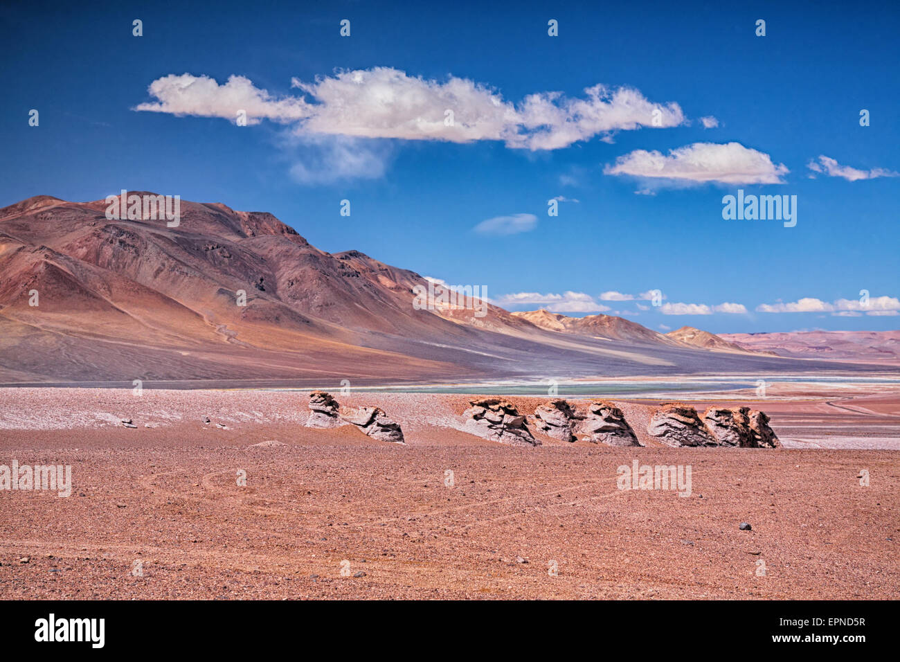 Salar Aguas Calientes, desert Atacama Stock Photo