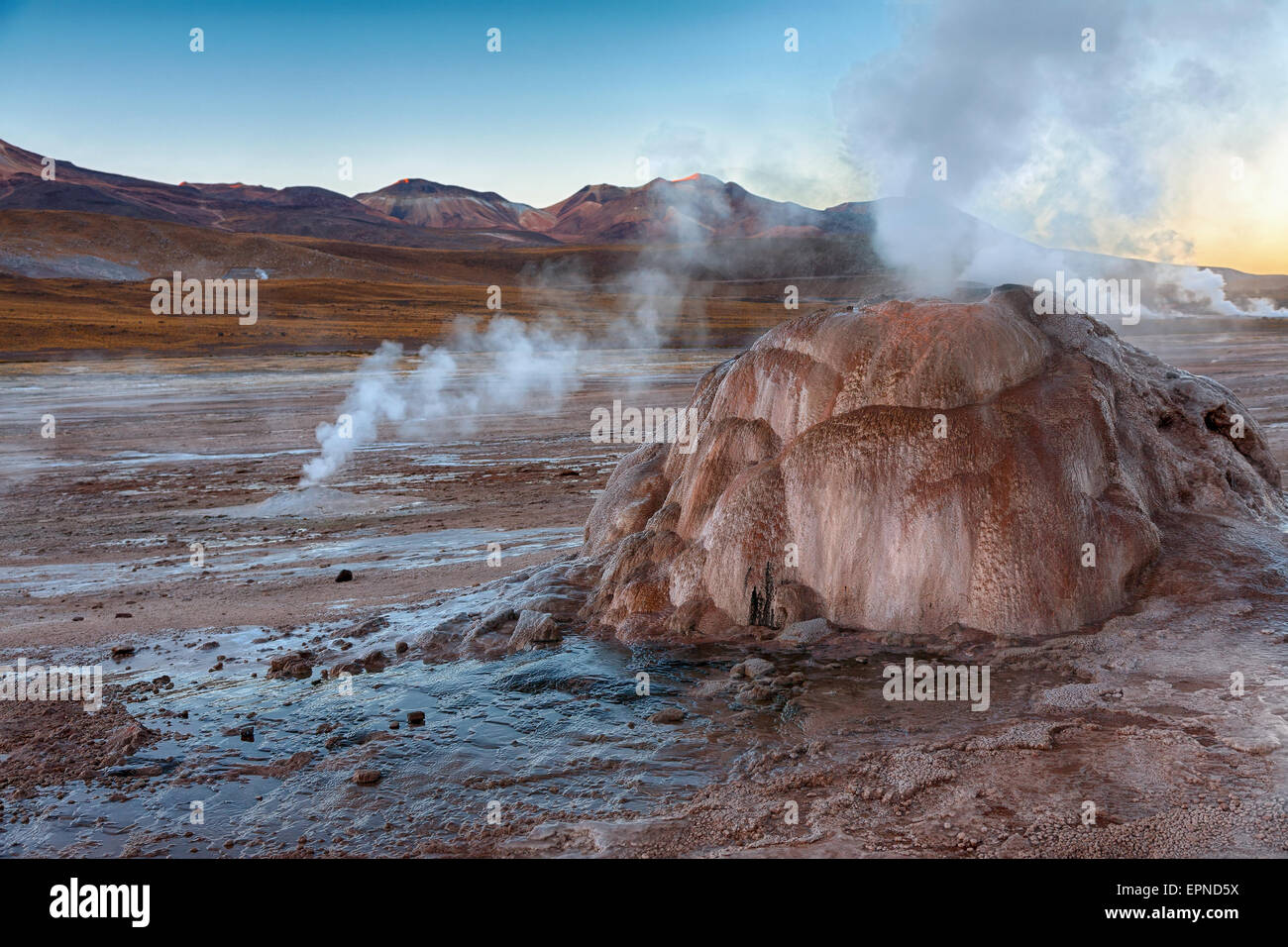 Geyser field El Tatio in Atacama region, Chile Stock Photo