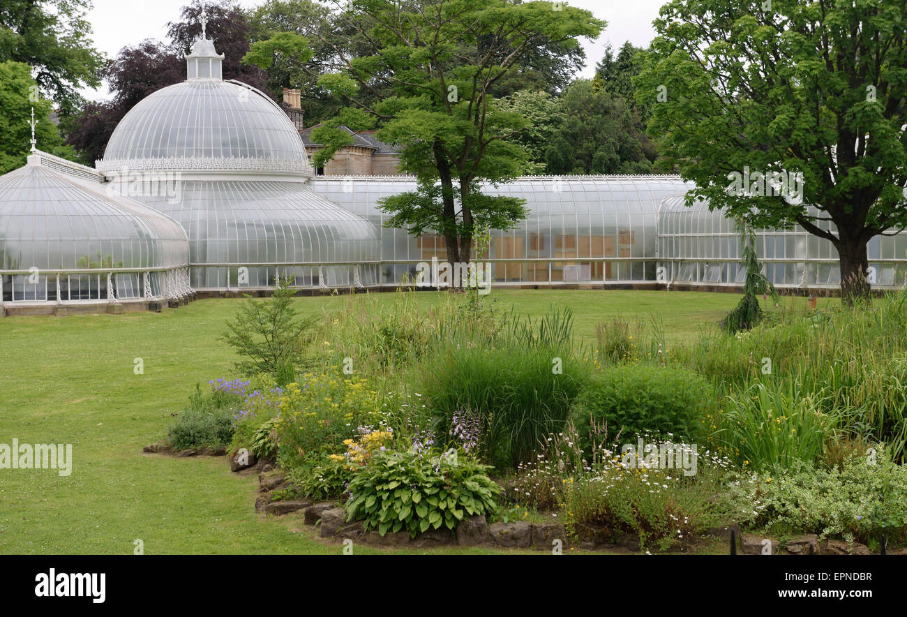 Kibble Palace Glasgow Botanic Gardens Glasgow Scotland UK Stock Photo