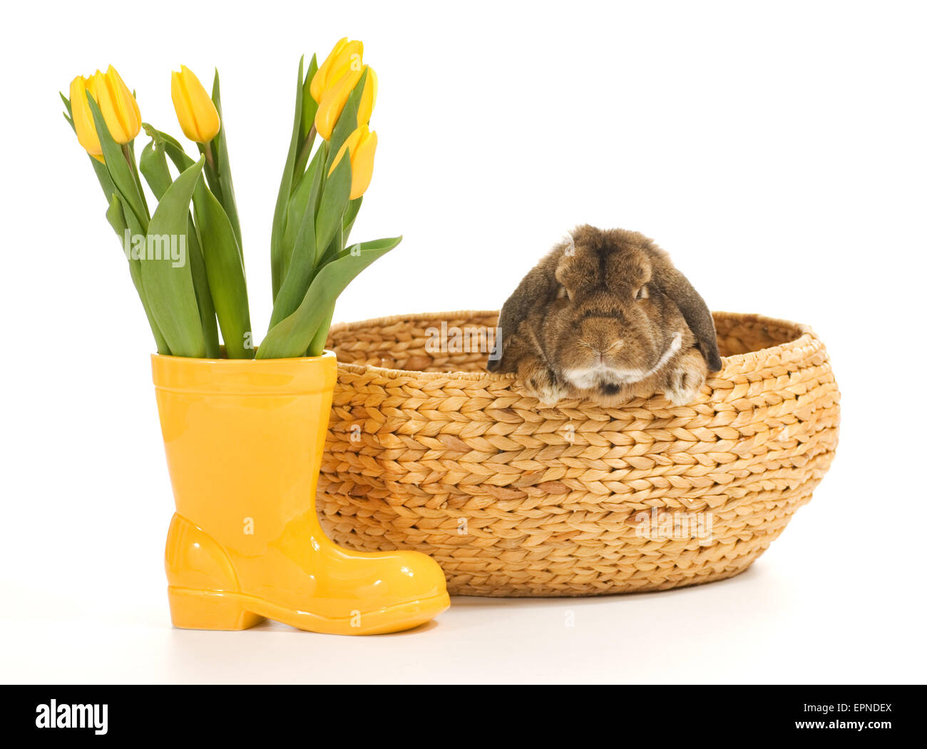 Rabbit inside wicker basket isolated on white background Stock Photo ...