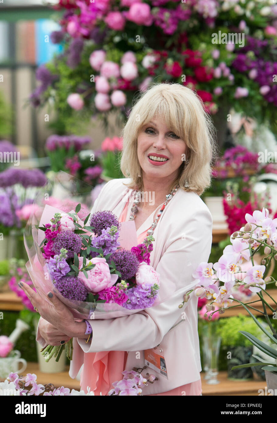 Actress,activist,campaigner and writer,Joanna Lumley at the RHS Chelsea Flower show 2015 Stock Photo