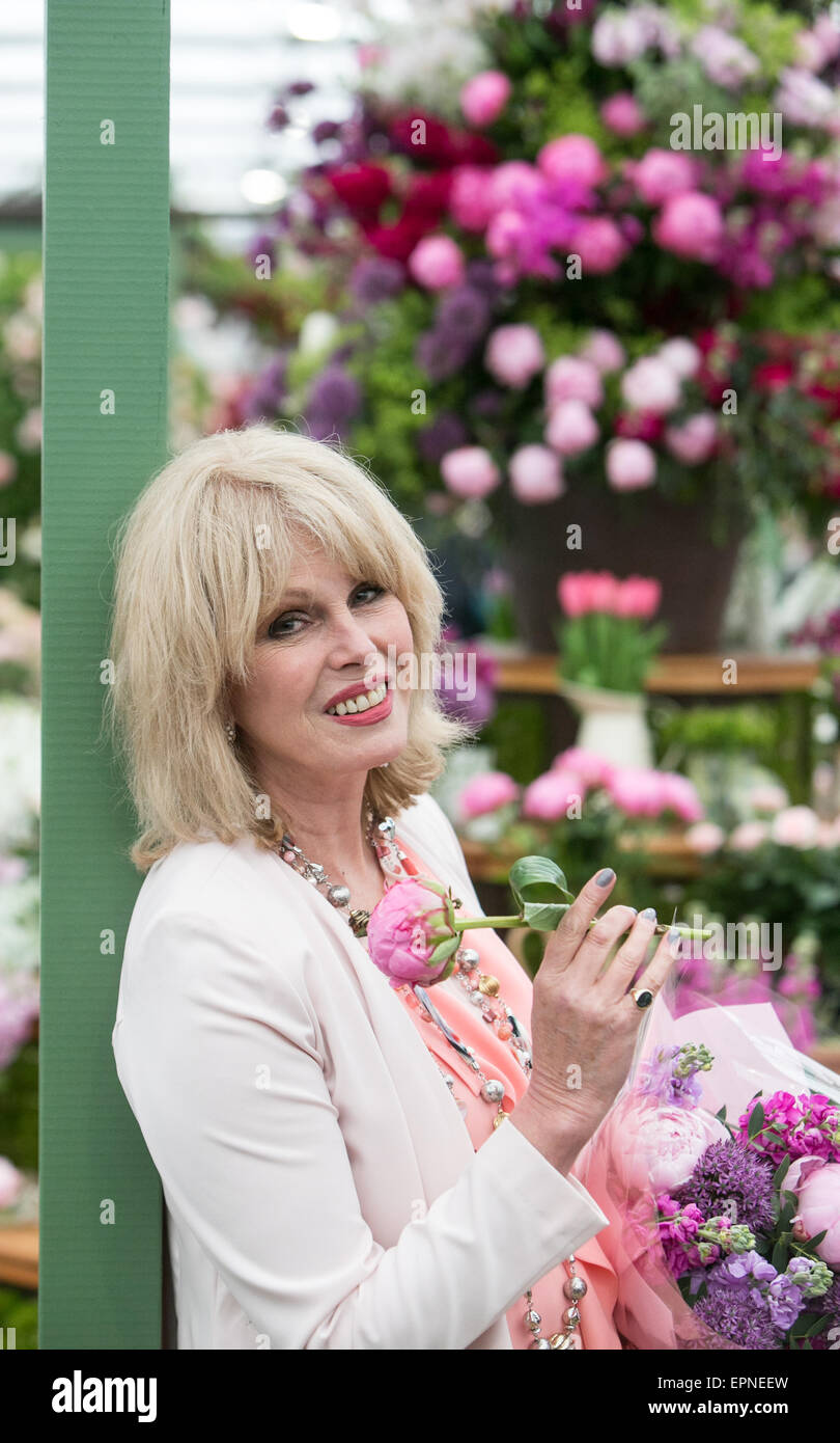 Actress,activist,campaigner and writer,Joanna Lumley at the RHS Chelsea Flower show 2015 Stock Photo
