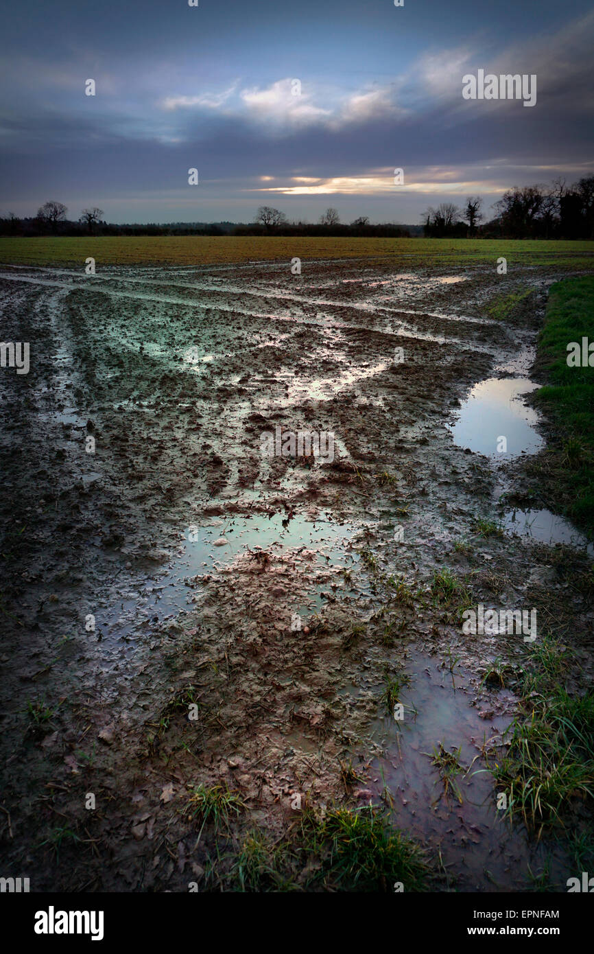 water logged field Stock Photo Alamy