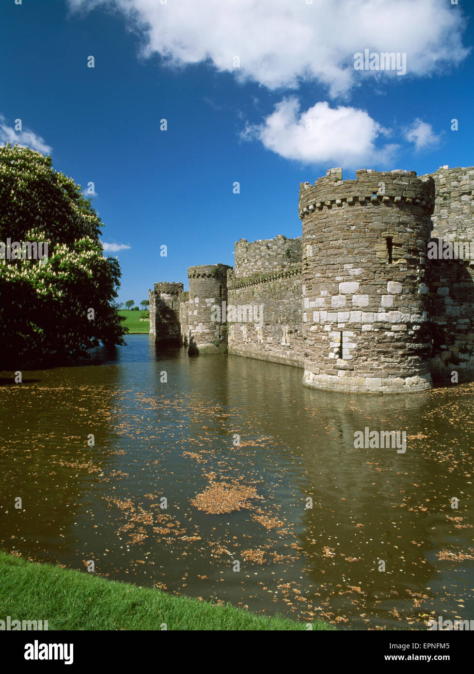 Looking across the moat at the western outer curtain wall and towers of Beaumaris Castle, Anglesey, Wales. Stock Photo