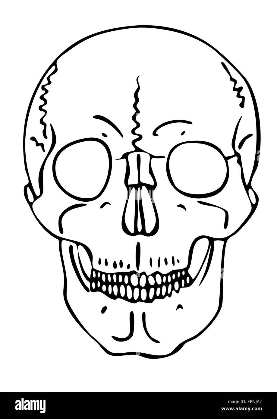 skull - vector - warning symbol Stock Vector