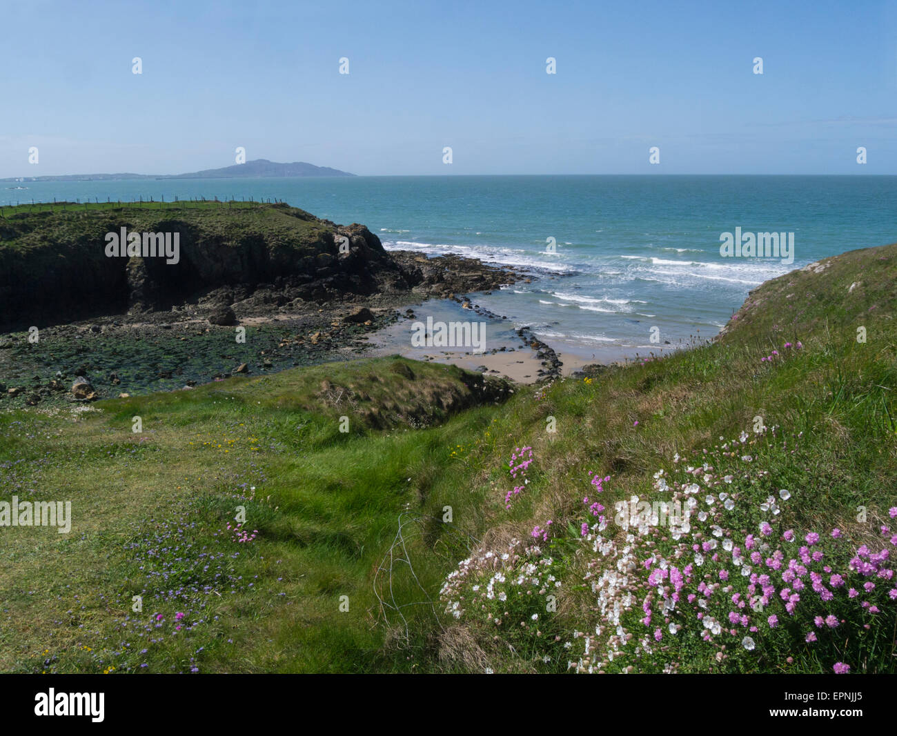 View down to Cable Bay from Coastal Path Isle of Anglesey North Wales