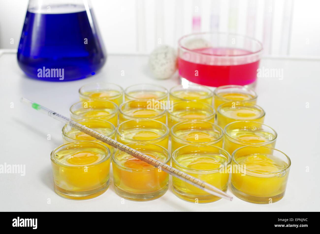 scientist injecting egg yolks in laboratory Stock Photo Alamy