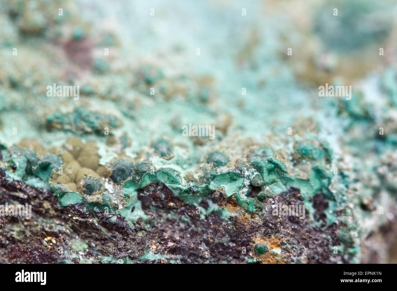 Malachite is a copper carbonate hydroxide mineral, with the formula