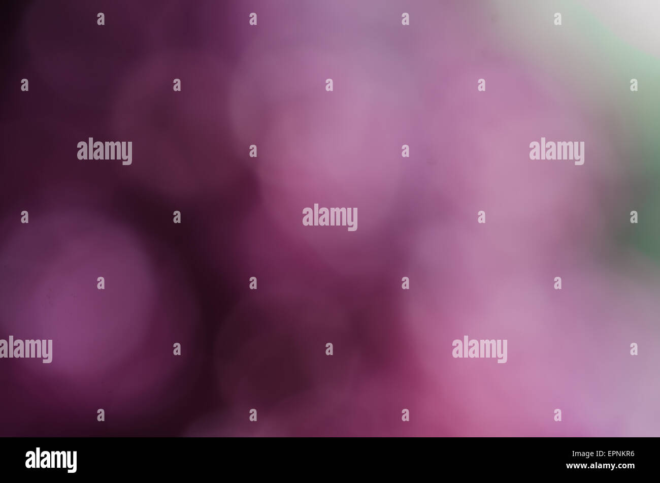 lilac violet abstract blurred nature background Stock Photo