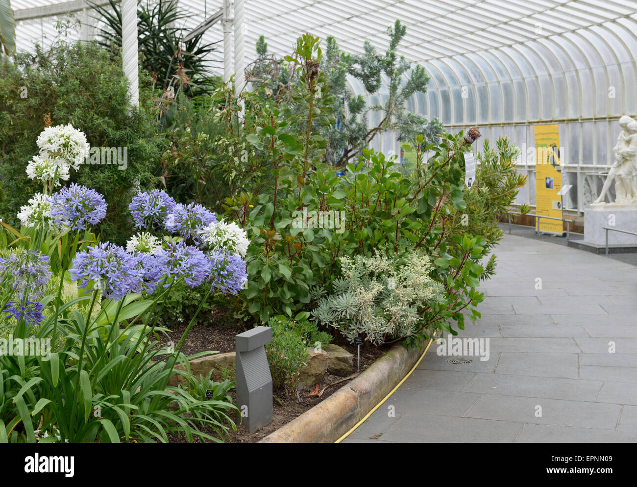 Kibble Palace Glasgow Botanic Gardens Glasgow Scotland UK Stock Photo