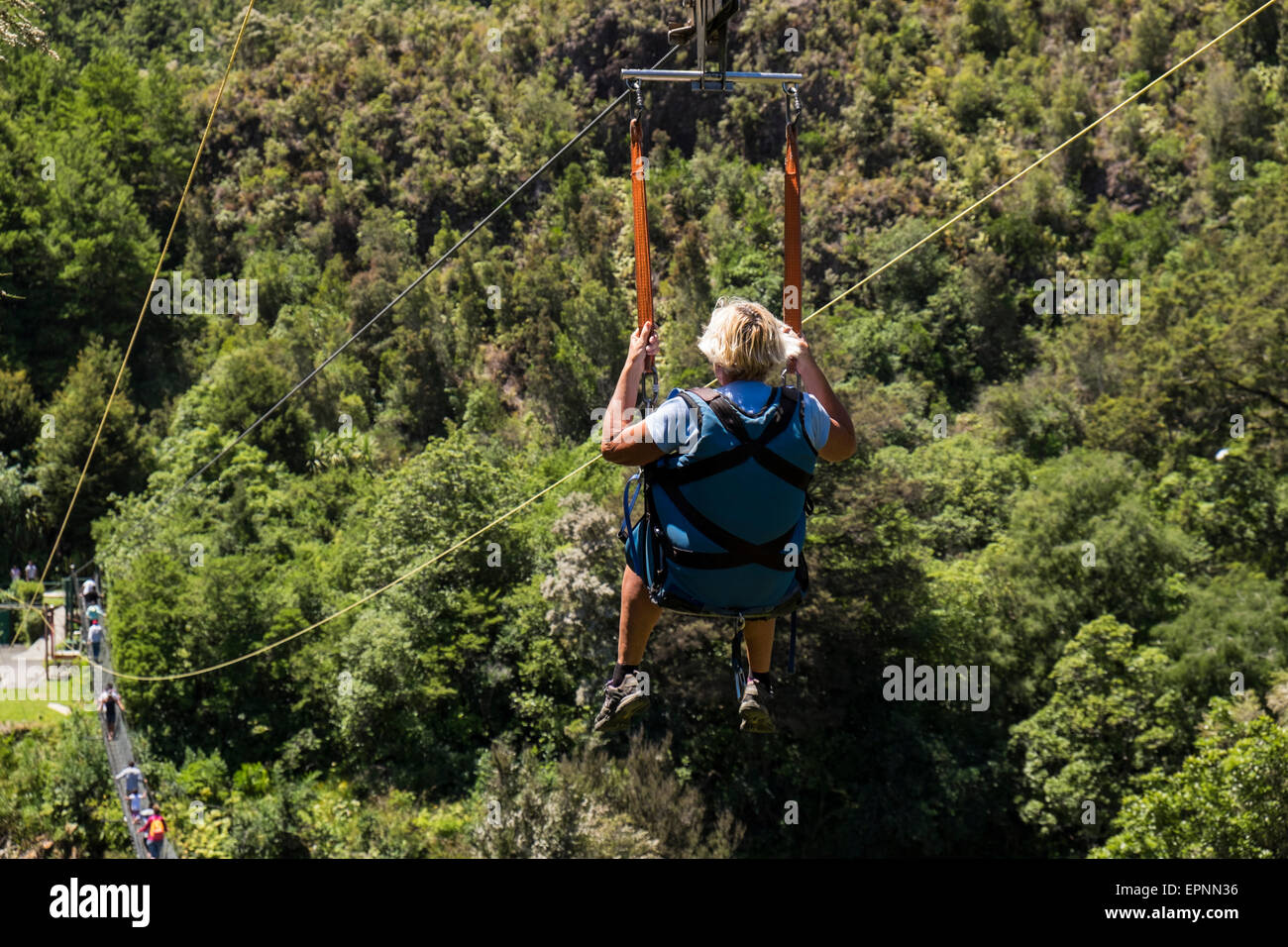 Middle aged woman on the flying fox zip wire over the Buller Gorge, New Zealand. Stock Photo