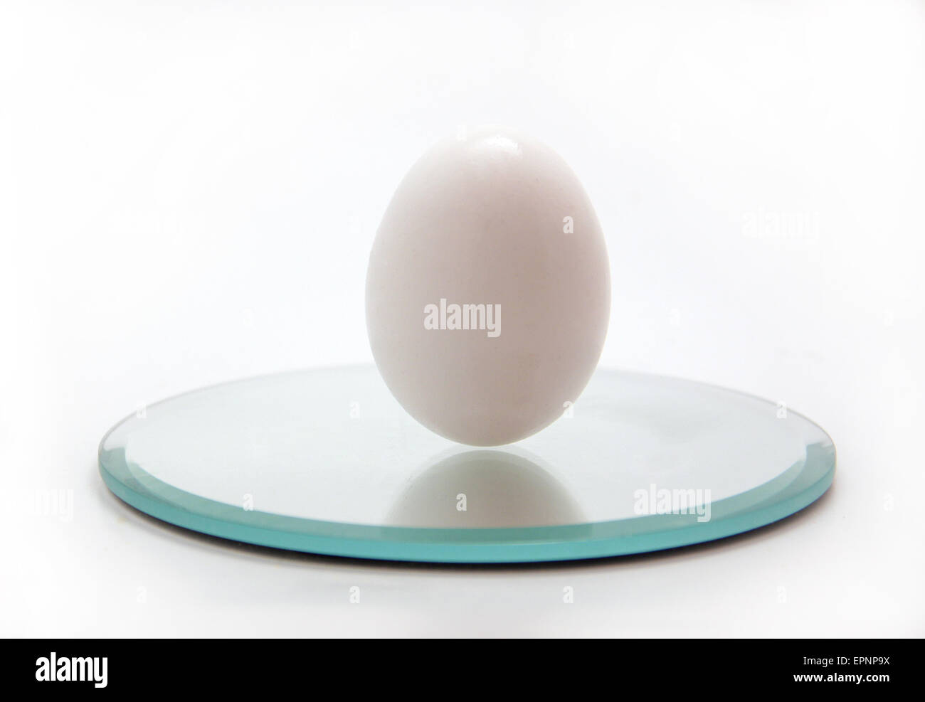 White Egg Standing Up On A Mirror Stock Photo Alamy