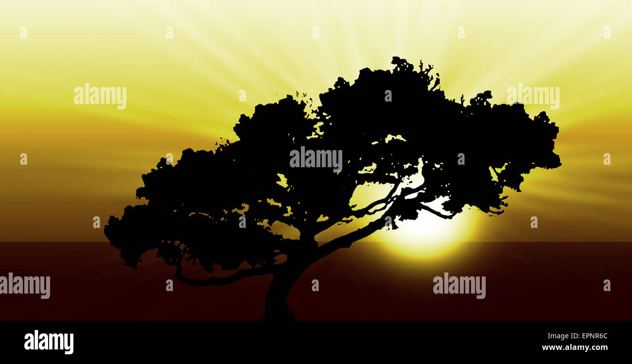 Sunset silhouette of tree hi-res stock photography and images - Alamy