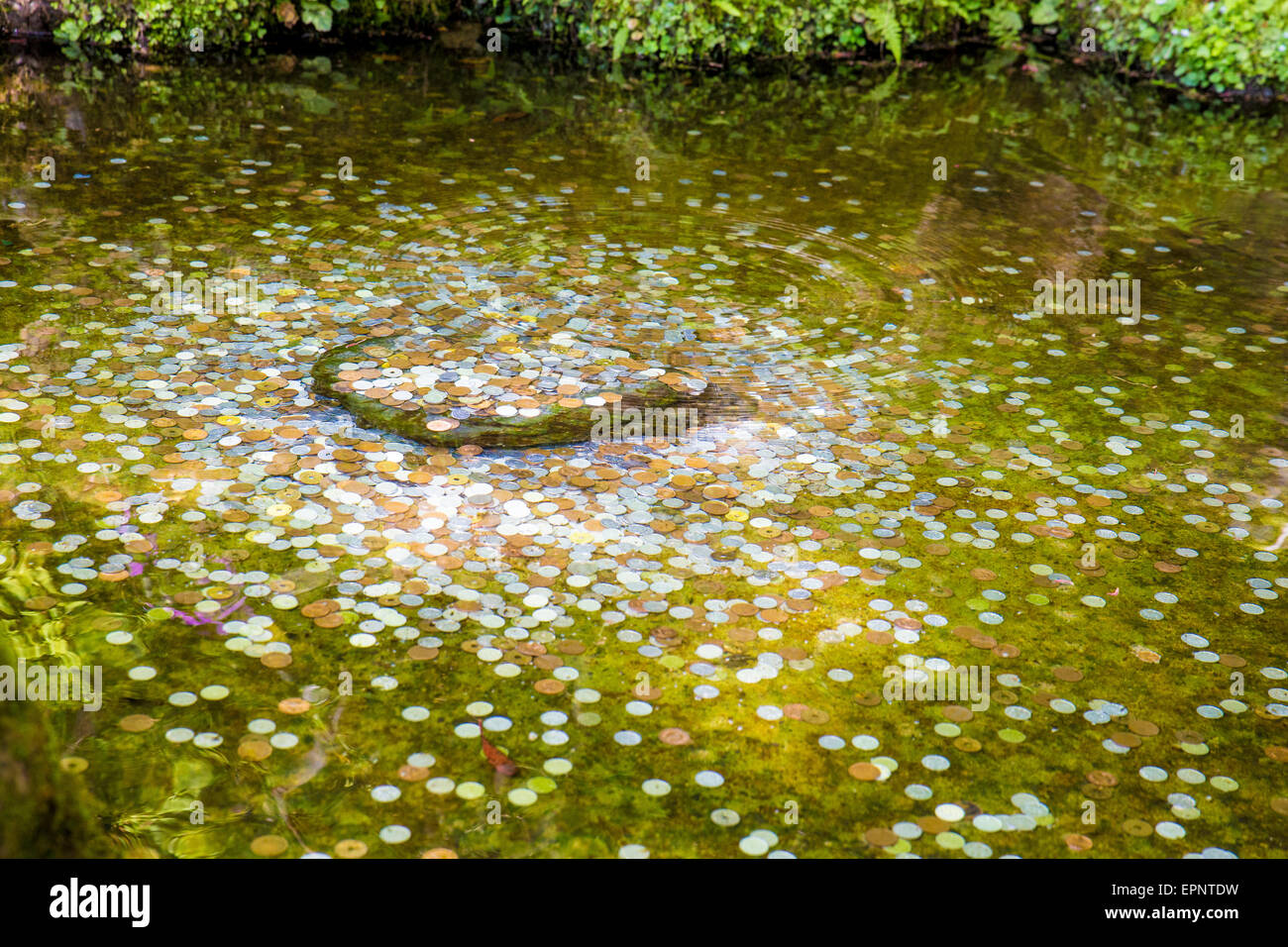 Coins in water for good luck and making a wish Stock Photo