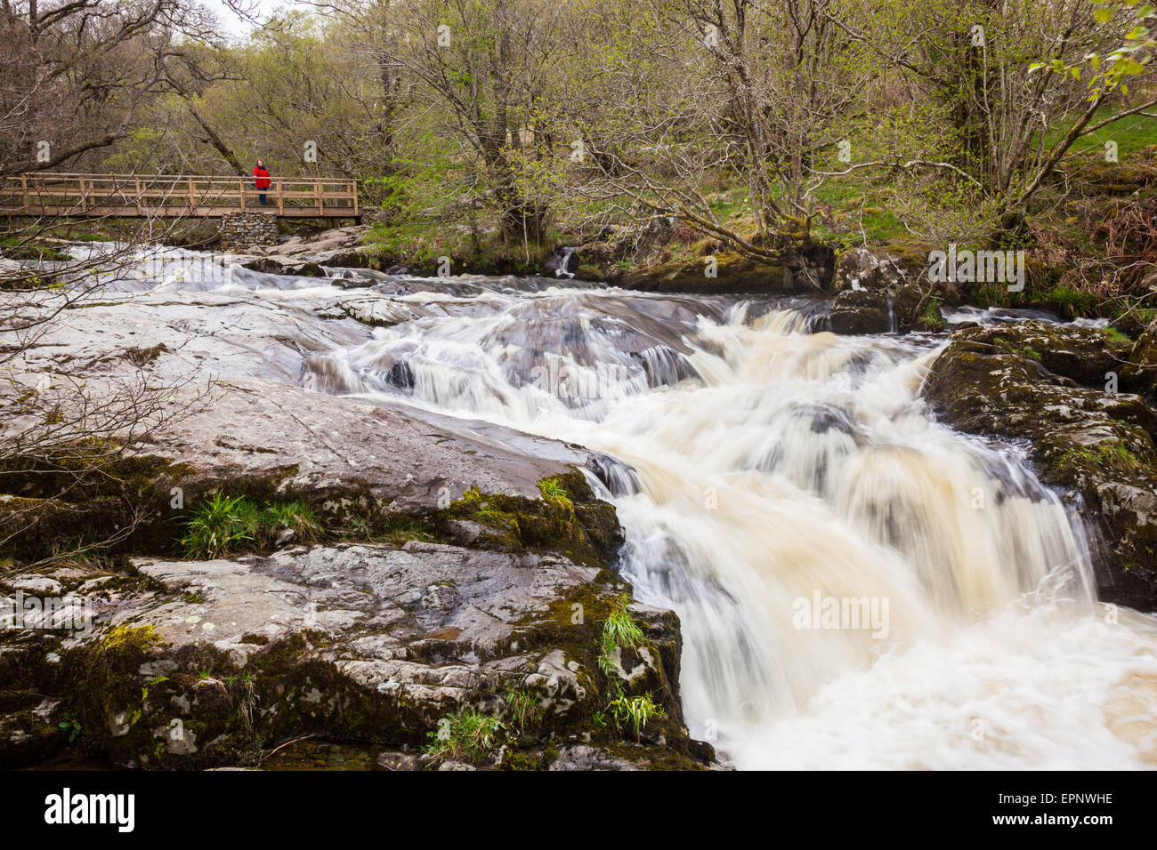 A walker on a bridge spanning Aira Beck, above Aira Force, near Ullswater, Lake District, Cumbria Stock Photo