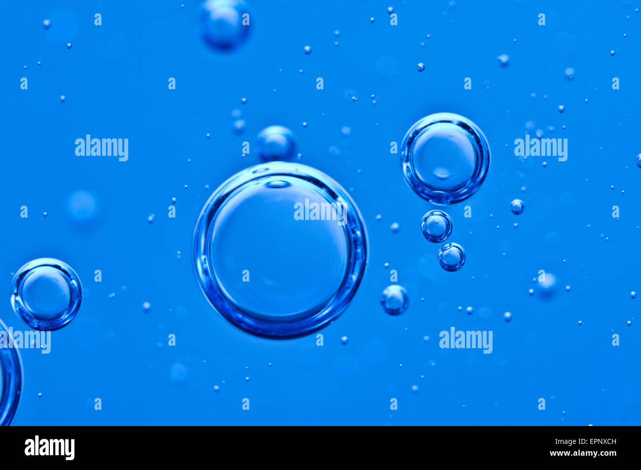 Air bubbles aquarium hires stock photography and images Alamy