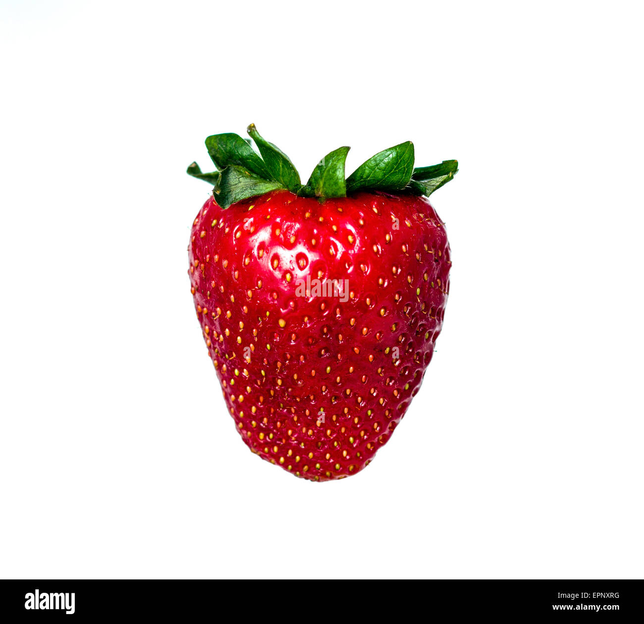Studio shot of a strawberry isolated on white Stock Photo - Alamy
