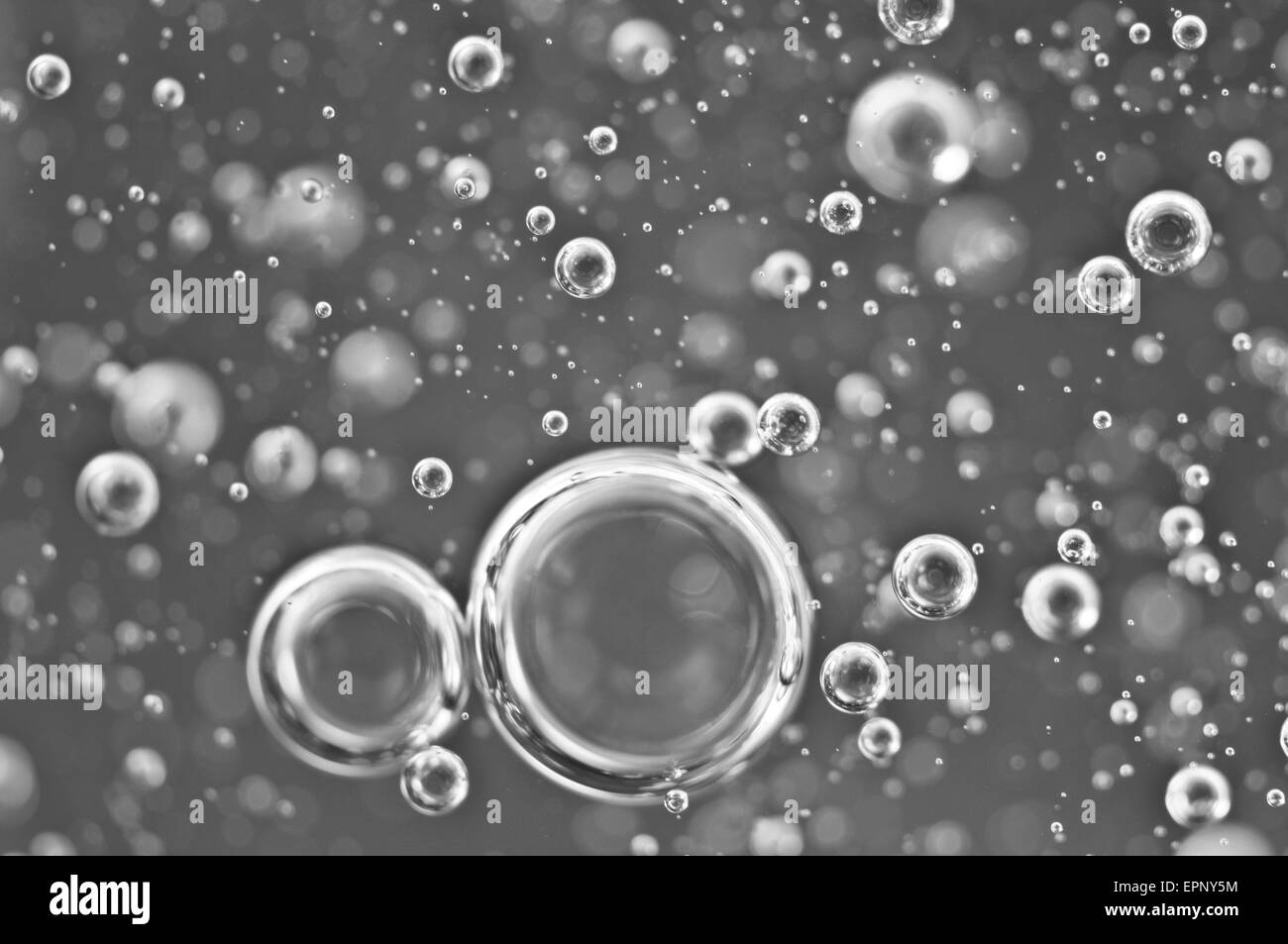 Air bubbles in water. Abstract black-and-white background. Macro photo, for your successful business design. Stock Photo