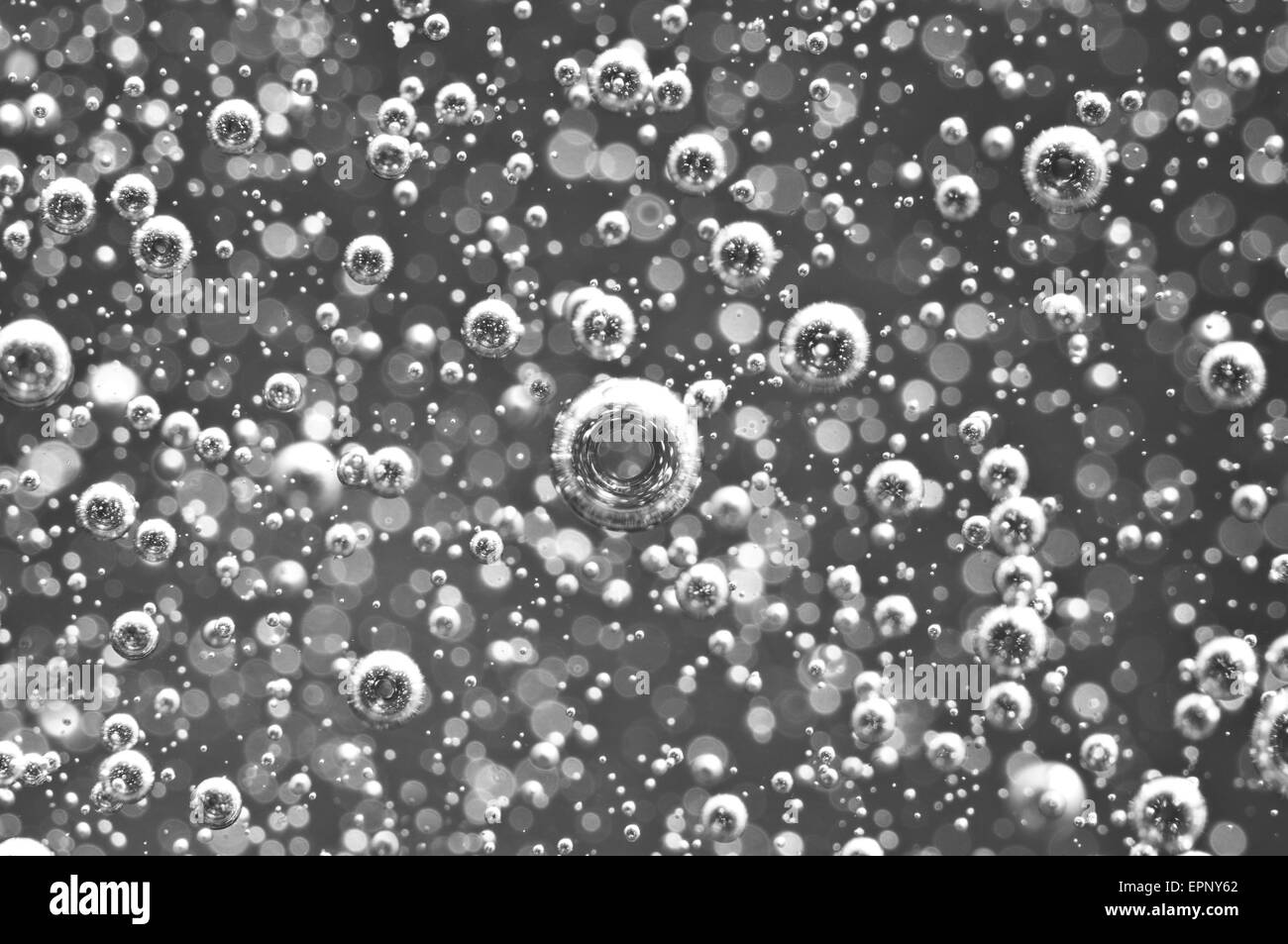 Air bubbles in water. Abstract black-and-white background. Macro photo, for your successful business design. Stock Photo