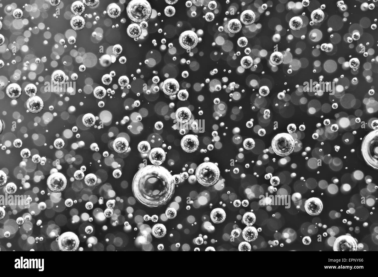 Air bubbles in water. Abstract black-and-white background. Macro photo, for your successful business design. Stock Photo