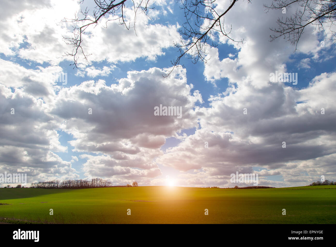 Beautiful sunset over the large green field Stock Photo - Alamy