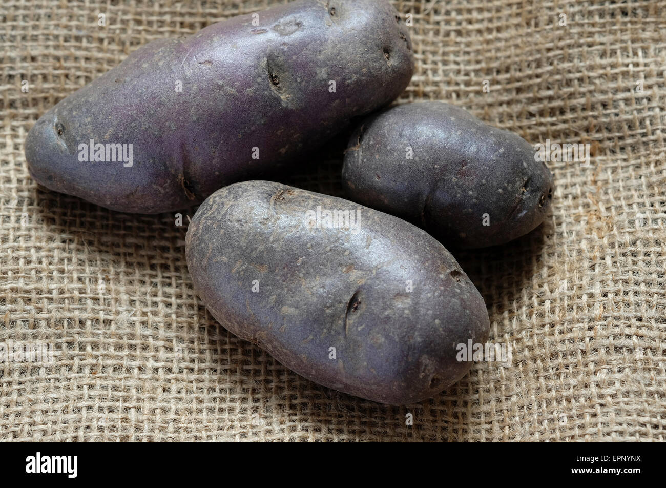 black skinned potatoes on old sack cloth Stock Photo Alamy