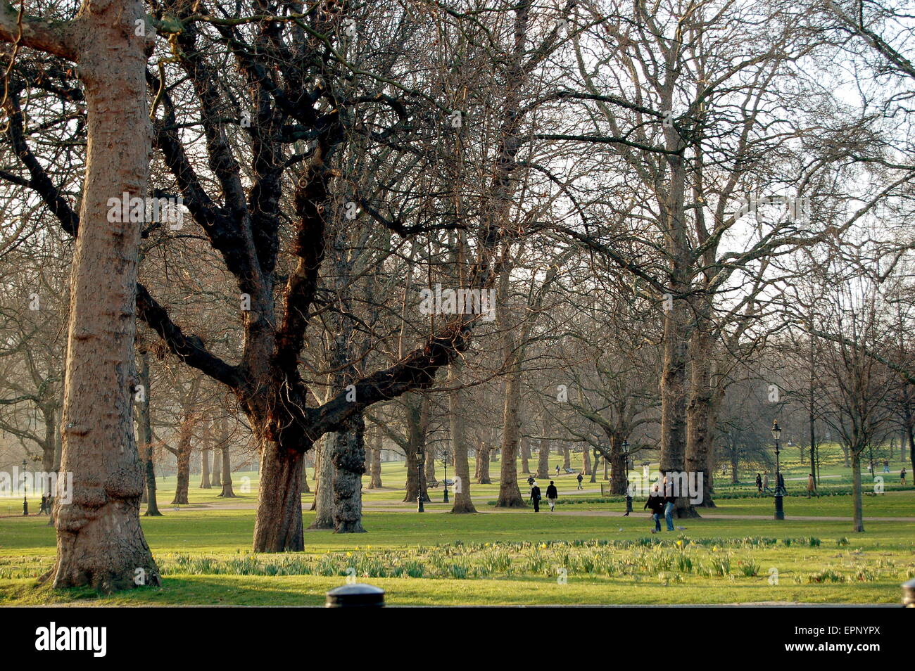 Green park grass trees hi-res stock photography and images - Alamy