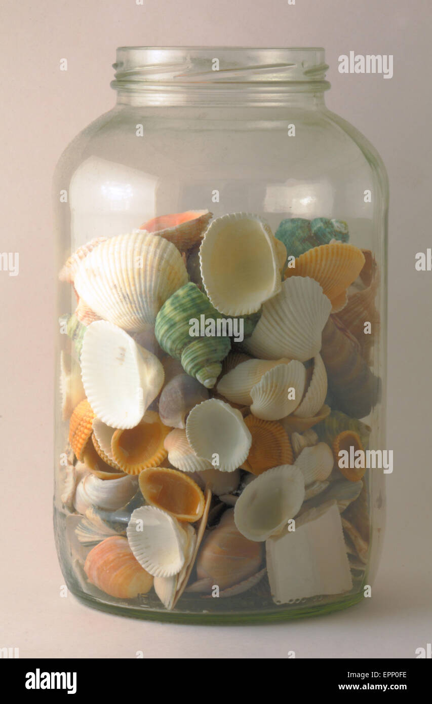 A collection of seashells in a jar Stock Photo Alamy