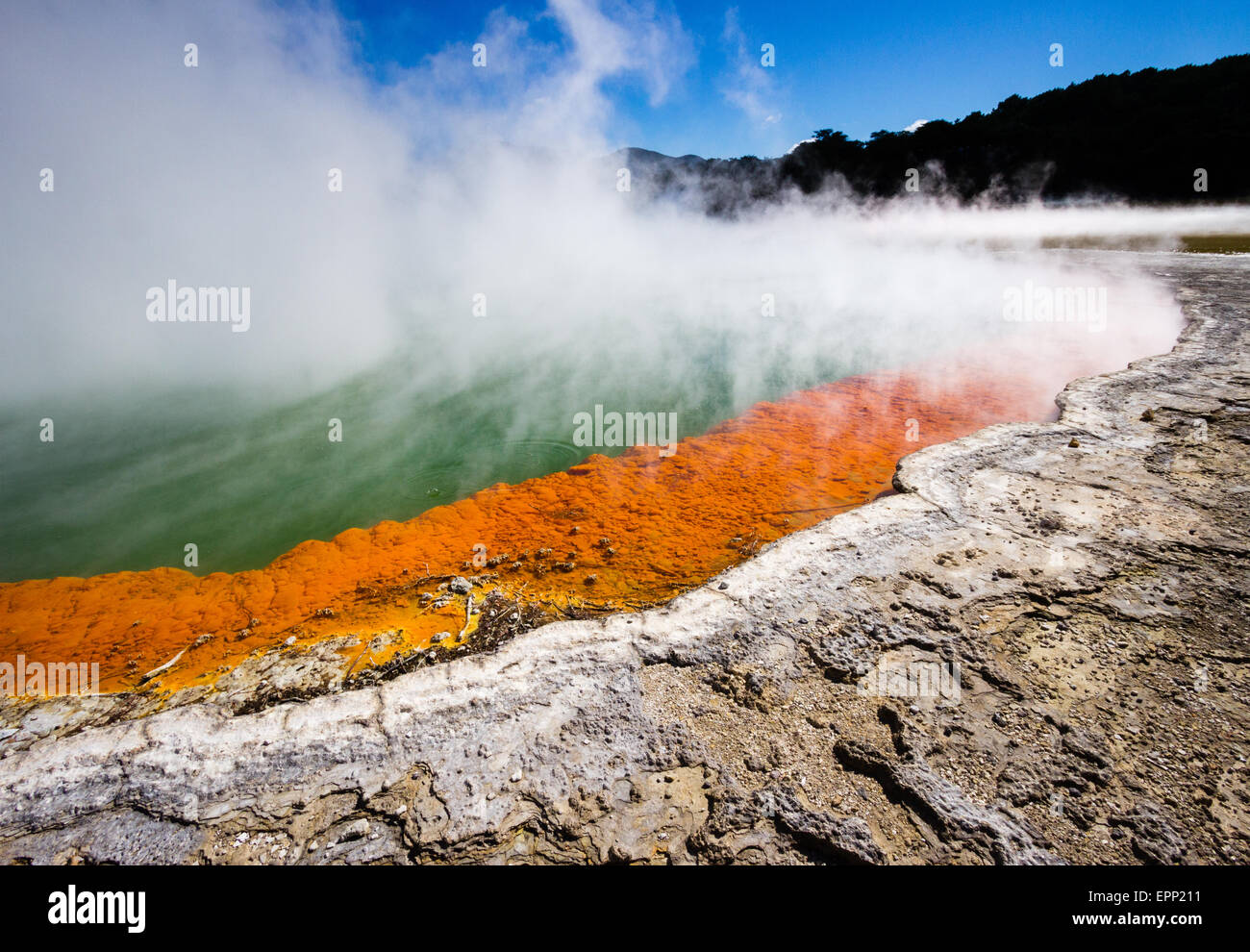 Steaming green waters of Champagne Pool with orange rim at Wai o Tapu Thermal Wonderland in North Island New Zealand Stock Photo
