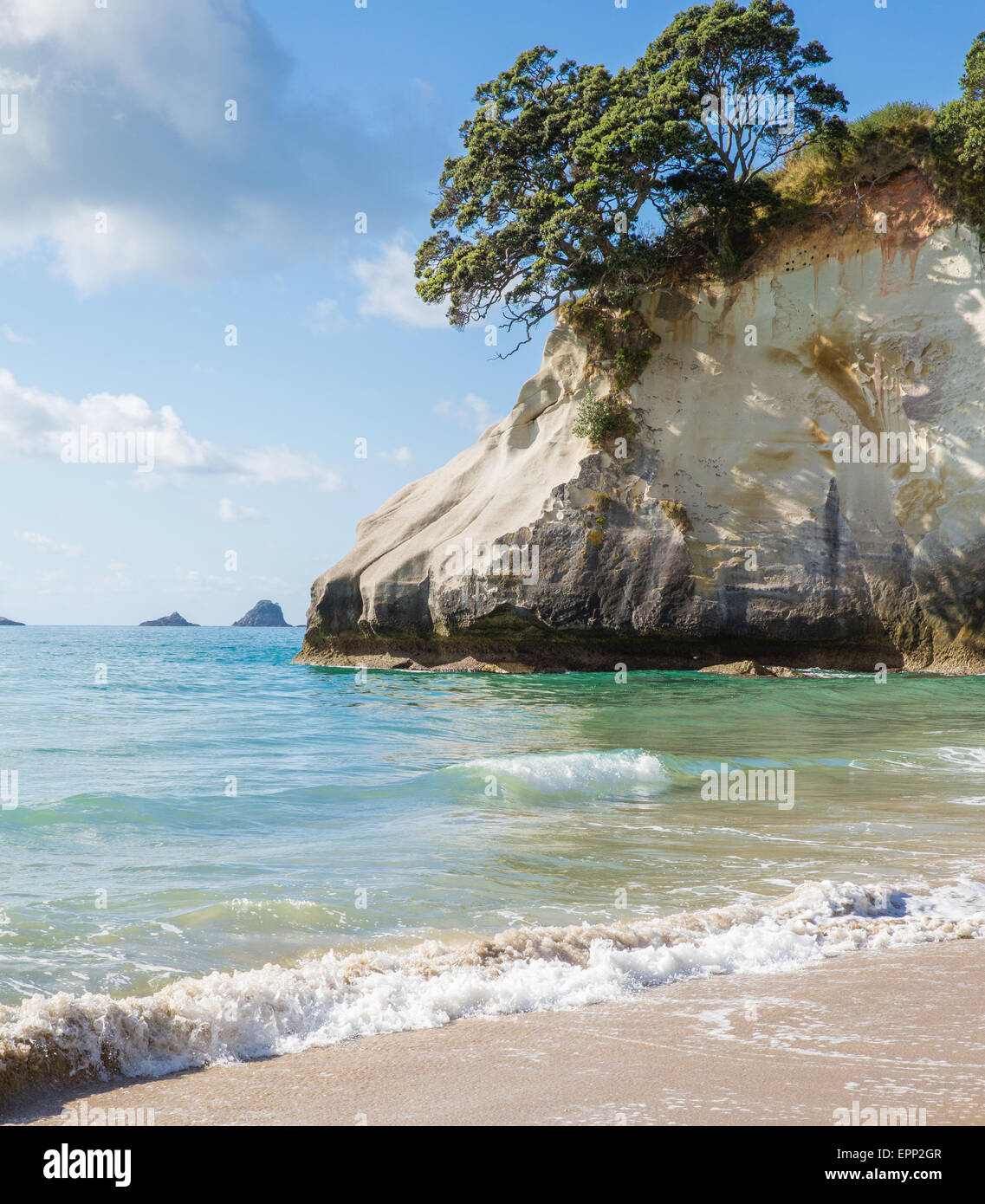 White limestone rock formations and fine sandy beach at Cathedral Cove on the Coromandel Peninsula in New Zealand North Island Stock Photo