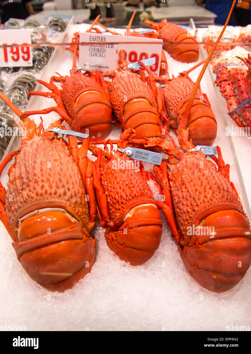 Lobster on the Sydney Fish Market Stock Photo Alamy