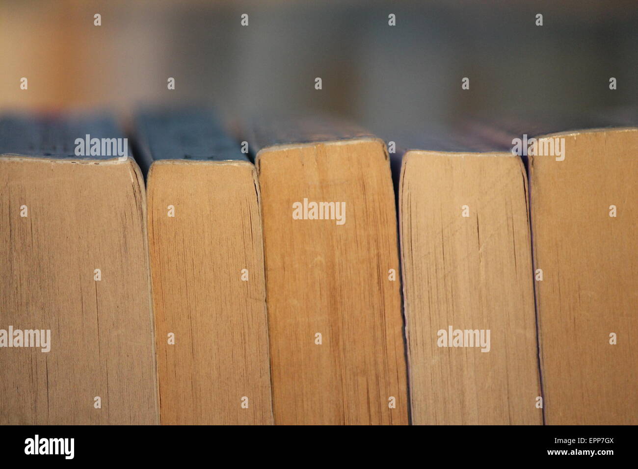 Market stall selling second hand books spine visible book, market, stall, bargain, second, hand