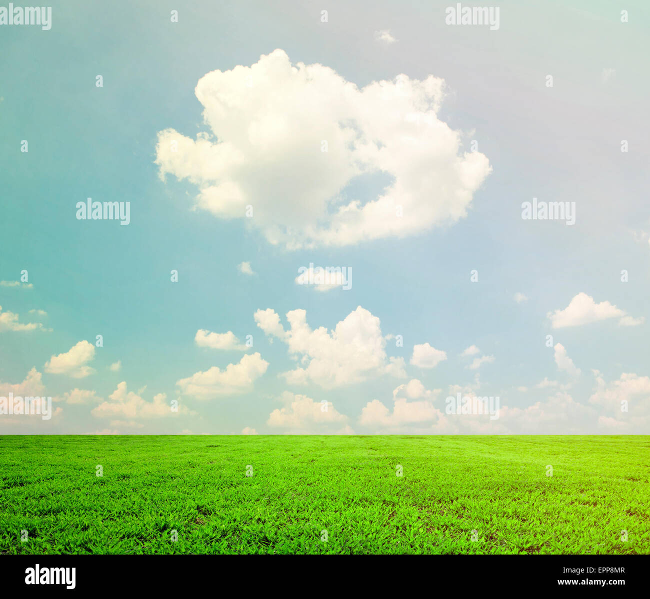 Beautiful green field and blue sky - natural landscape view Stock Photo ...