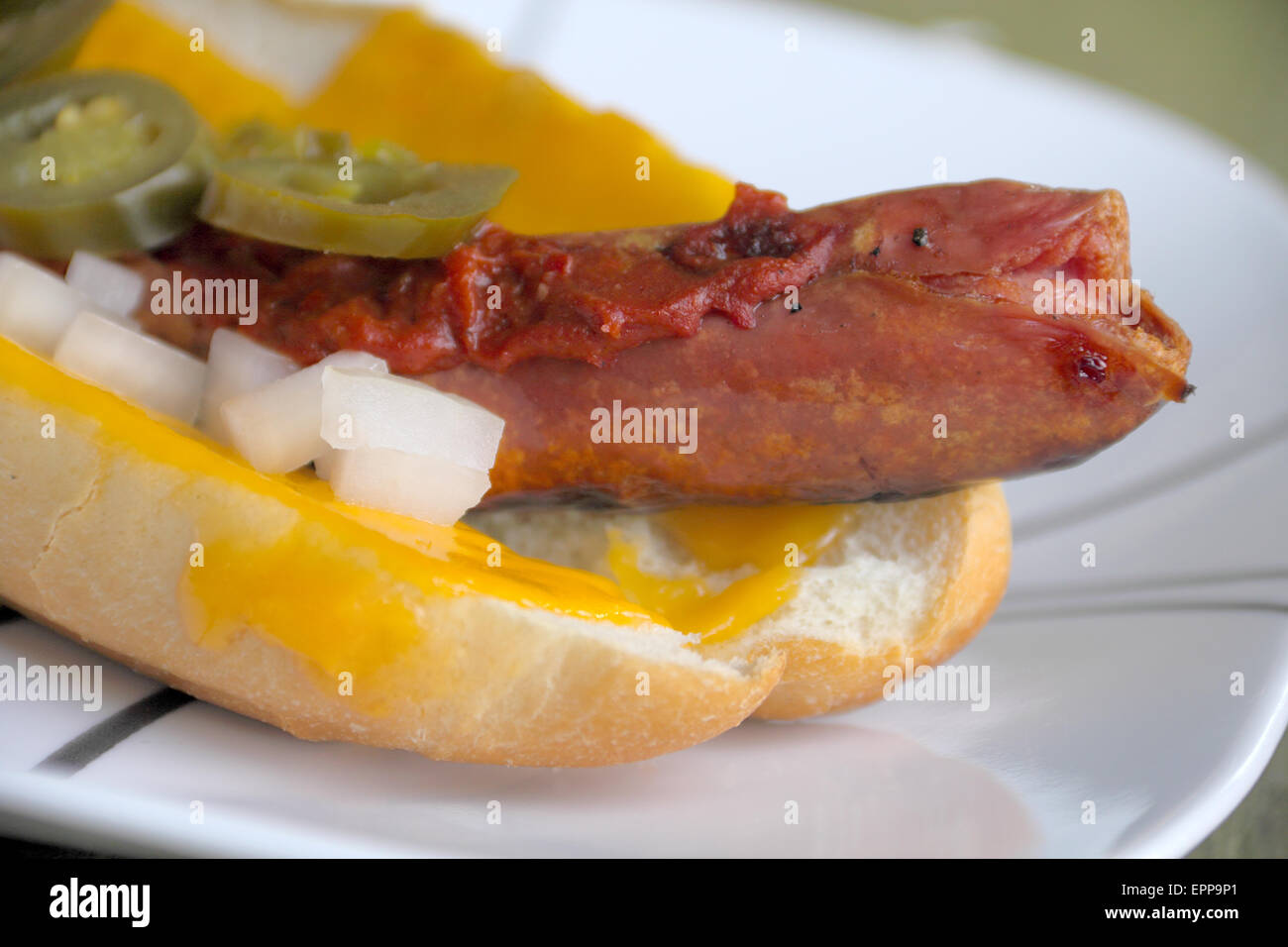 A grilled gourmet hotdog with cheese, onions, jalapeno, and red sauce
