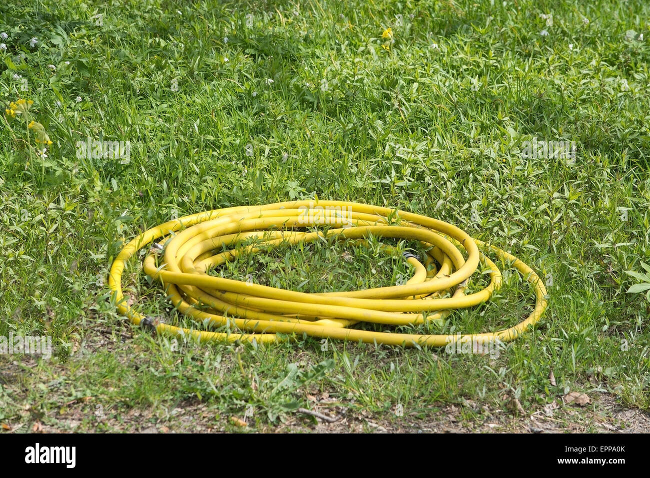 Yellow Hose and hose reel in natural garden setting Stock Photo - Alamy